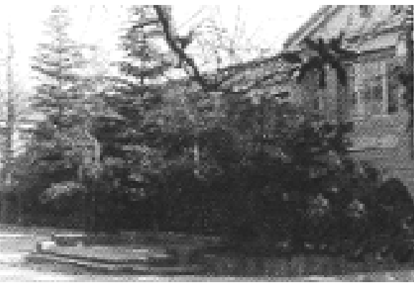 1954（昭和29）年の本館玄関